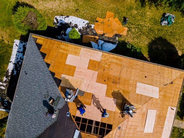 Professional Roofing Contractor in Fulton, MS