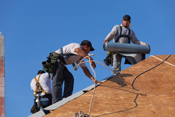 Best Storm Damage Roof Repair  in Fulton, MS
